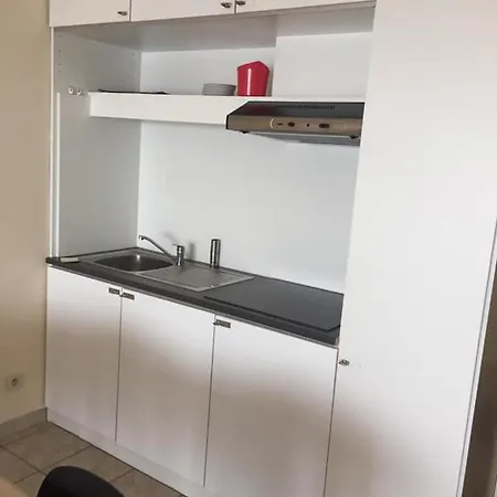 Studio Darwin Met Zeezicht מידלקרק